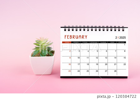 February 2025, Monthly desk calendar for 2025 year on pink background. 120384722