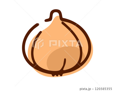 玉ねぎ_手描き 玉ねぎ_手描き 120385355