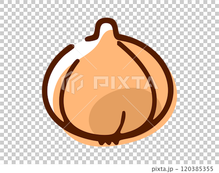 玉ねぎ_手描き 玉ねぎ_手描き 120385355