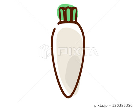 大根_手描き 120385356