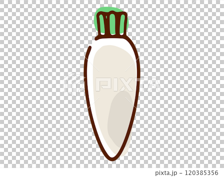 大根_手描き 120385356