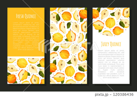 Quince Fruit Banner Design with Ripe Crop Vector Template 120386436