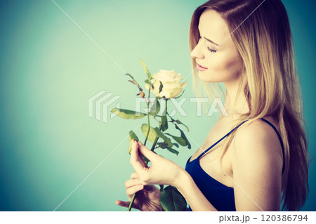 Shot on blue of woman holding white rose Shot on blue of woman holding white rose 120386794