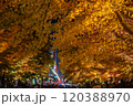 中島公園の紅葉ライトアップ 120388970