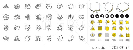 Set of Brazil nut, Apple and Almond nut line icons for web app. Design elements, Social media icons. Seafood, Greenhouse, Potato icons. Slow fashion, Leaf dew, Lotus signs. Vector 120389155