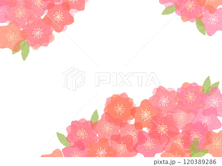 ピンクの花の背景素材 120389286