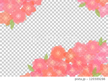 ピンクの花の背景素材 120389286
