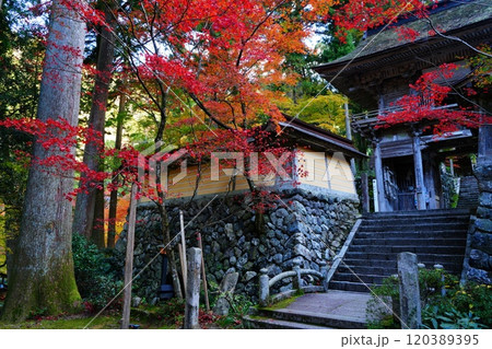 両界山横蔵寺の紅葉 120389395