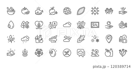 Corn, Sunny weather and Startup line icons pack. AI, Question and Answer, Map pin icons. Water drop, Apple, Gluten free web icon. Windy weather, Salad, Co2 pictogram. Vector Corn, Sunny weather and Startup line icons pack. AI, Question and Answer, Map pin icons. Water drop, Apple, Gluten free web icon. Windy weather, Salad, Co2 pictogram. Vector 120389714