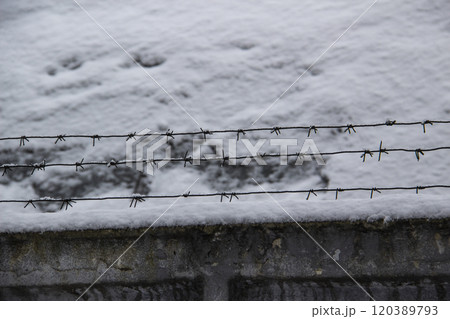 Barbed wire on the fence against light background in the winter  cloudy day 120389793