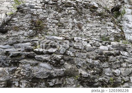 The background with stones. Stone wall background.  Old wall with natural stones and a green plants which is growing up on it 120390226