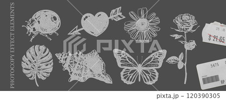 Set of photocopied elements: insects, flowers, heart, shell and price tags. Vector illustration. 120390305