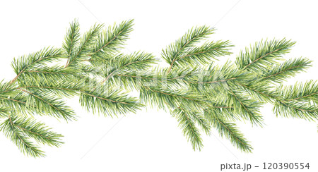 Lush green pine branches in watercolor, seamless border clipart. Realistic evergreen plant illustration. It works well for digital invitations, labels, and seasonal stationery products 120390554