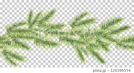 Lush green pine branches in watercolor, seamless border clipart. Realistic evergreen plant illustration. It works well for digital invitations, labels, and seasonal stationery products 120390554