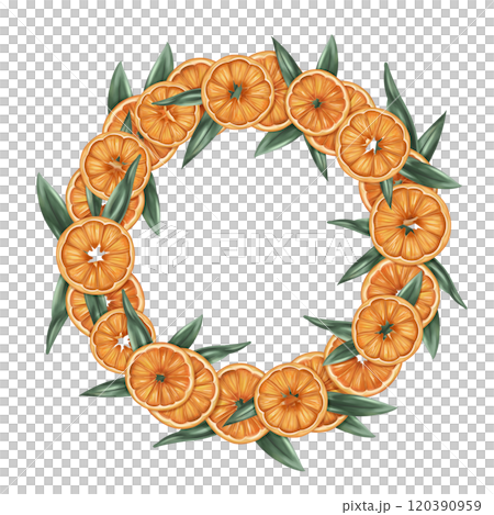 Christmas wreath of oranges, tangerines, leaves. Handmade eco Christmas toy, winter organic decorations, seasonal handmade garland. Sustainable Xmas, zero waste celebration. Isolated illustration Christmas wreath of oranges, tangerines, leaves. Handmade eco Christmas toy, winter organic decorations, seasonal handmade garland. Sustainable Xmas, zero waste celebration. Isolated illustration 120390959
