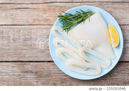 Squid tube and ring photography . Seafood top view 120391046