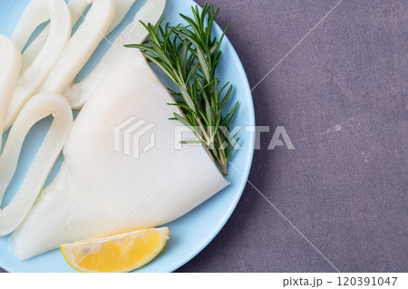 Squid tube and ring photography . Seafood top view 120391047