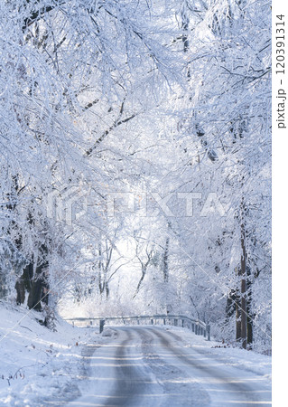 Winter landscape with snow-covered trees and road 120391314