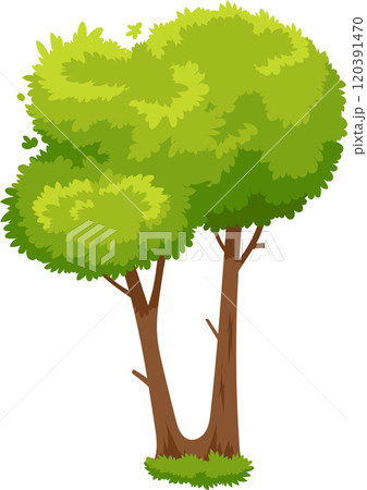 Two vibrant green trees stand tall and full, their lush foliage creating a vibrant scene against a clean white backdrop, evoking a sense of tranquility and natural beauty 120391470