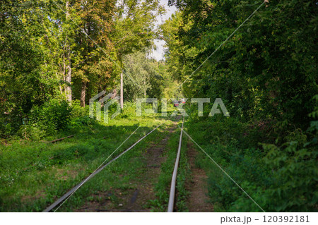 Long tram tracks running through the forest. 120392181