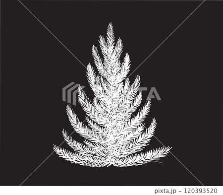 Christmas tree set on black, hand drawn illustration Christmas tree set on black, hand drawn illustration 120393520