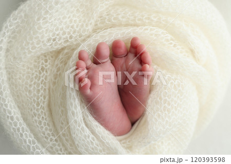 The tiny foot of a newborn. Soft feet of a newborn in a white woolen blanket. Close up of toes, heels and feet of a newborn baby. Studio Macro photography. Woman's happiness. 120393598