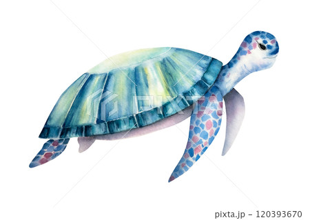 Sea turtle. Nice watercolor reptile, hand drawn illustration isolated on background. For designers, postcards, greetings, birthday, calendar, wallpapers, wrapping paper and baby design 120393670