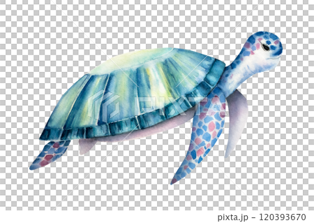 Sea turtle. Nice watercolor reptile, hand drawn illustration isolated on background. For designers, postcards, greetings, birthday, calendar, wallpapers, wrapping paper and baby design 120393670