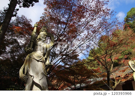 吞山観音寺天王院参道の仁王像 吞山観音寺天王院参道の仁王像 120393966