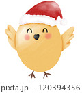 christmas day 120394356