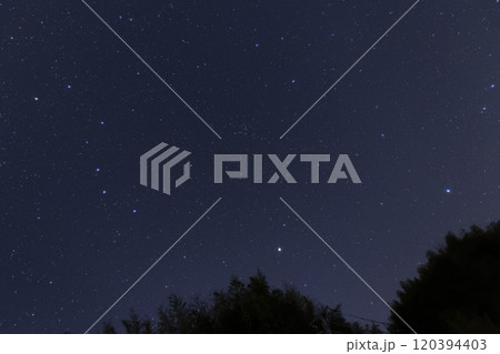 春の星空　北斗七星と春の大曲線 120394403