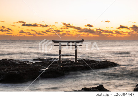 「茨城県」日の出前、海岸に佇む鳥居 大洗磯前神社 「茨城県」日の出前、海岸に佇む鳥居 大洗磯前神社 120394447