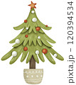 christmas tree 120394534
