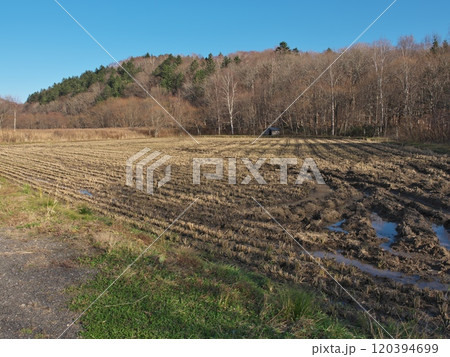 日本最北の水田 日本最北の水田 120394699