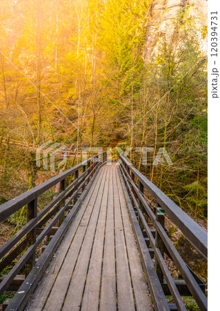 The wooden Mezni Bridge stretches across the Kamenice River, surrounded by vibrant autumn foliage in Bohemian Switzerland National Park, showcasing nature beauty and tranquil atmosphere. 120394731