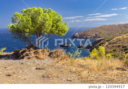 Cala Nans lighthouse on a rocky coastline on a sunny day, Cadaques, Spain 120394917
