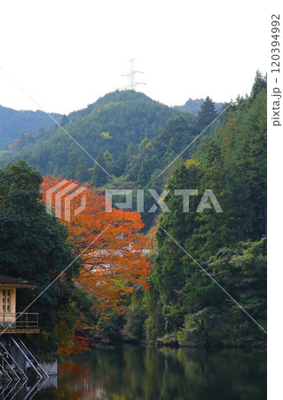 紅葉の鎌北湖（埼玉県毛呂山町） 120394992