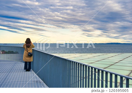 横須賀美術館の屋上 120395005