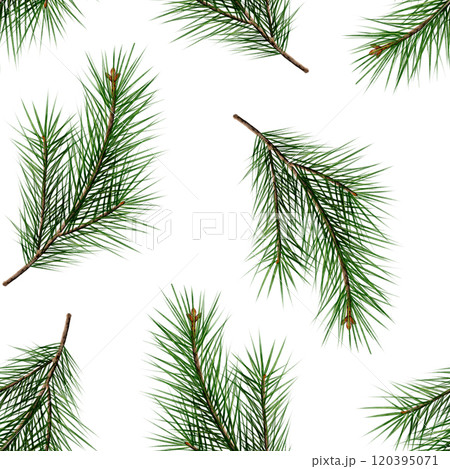 Watercolor Seamless pattern of branch of pine needles, spruce, pine  120395071