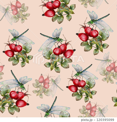 Seamless Rosehip and Dragonfly Pattern 120395099