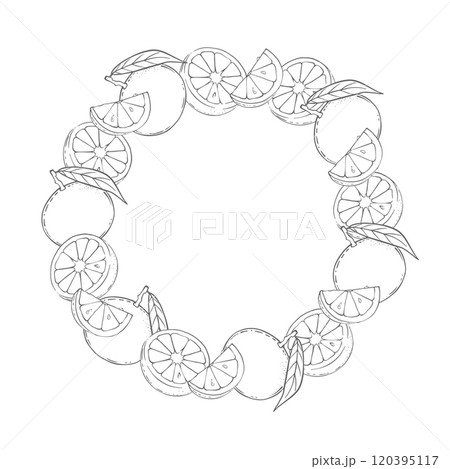 Vector Round frame of oranges, tangerines, citrus Vector Round frame of oranges, tangerines, citrus 120395117