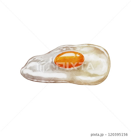 Fried chicken and quail egg 120395156