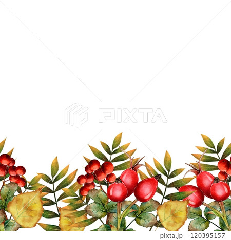 Seamless Autumn Curb, banner Rosehip, mountain ash, red berries 120395157