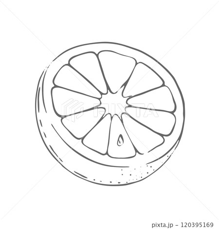 Half of Orange vector Illustration 120395169