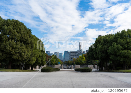 爽やかな青空と政治の中心地である国会議事堂から街並みを撮影｜10月撮影｜東京都千代田区永田町 120395675