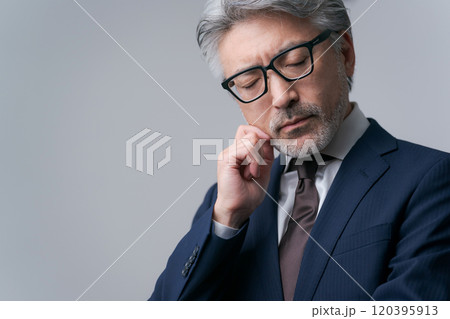 眼鏡をかけたビジネスマン 眼鏡をかけたビジネスマン 120395913