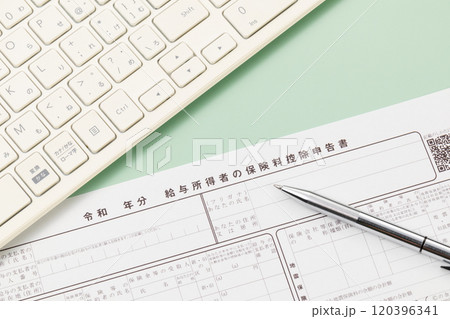 給与所得者の保険料控除申告書　年末調整 120396341