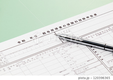 給与所得者の保険料控除申告書　年末調整 120396365