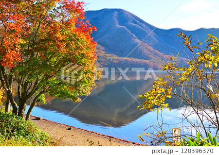 赤城大沼 湖畔からの眺め 秋色の風景 赤城大沼 湖畔からの眺め 秋色の風景 120396370