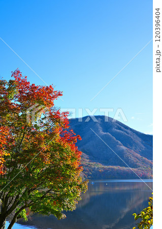 赤城大沼　湖畔からの眺め　秋色の風景 120396404